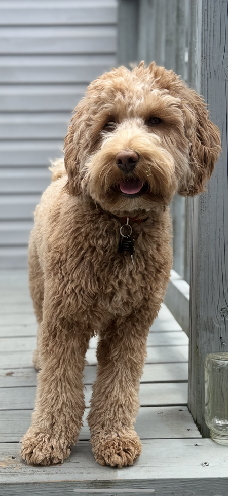 Rusty
