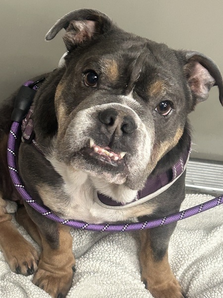 Mabel