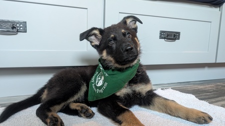 Oskar