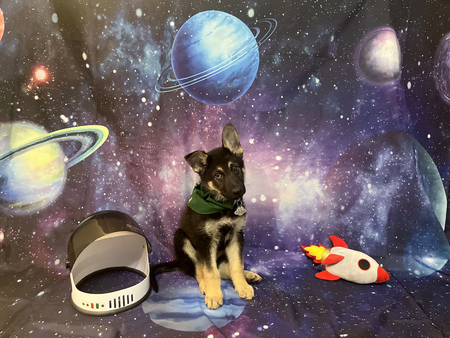 Saturn