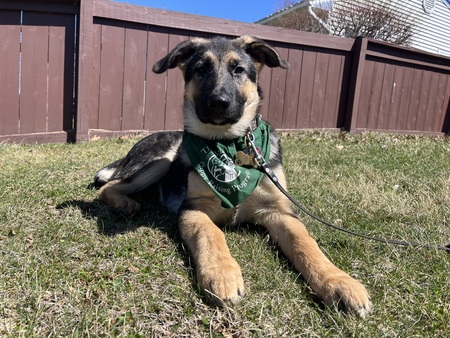 Gus