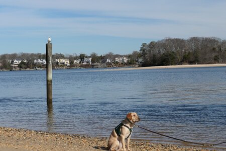 Finley