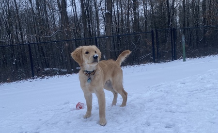 Winston