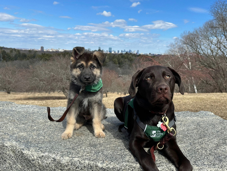 Leo and Nellie