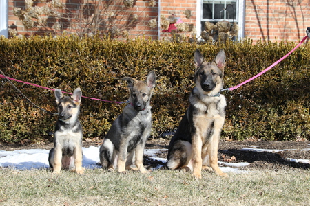 Gail, Dolly, Marlo