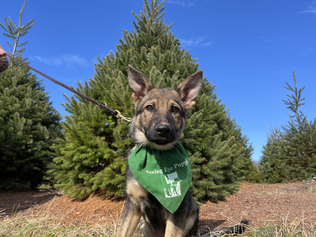Axel