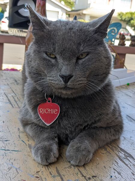 Richie