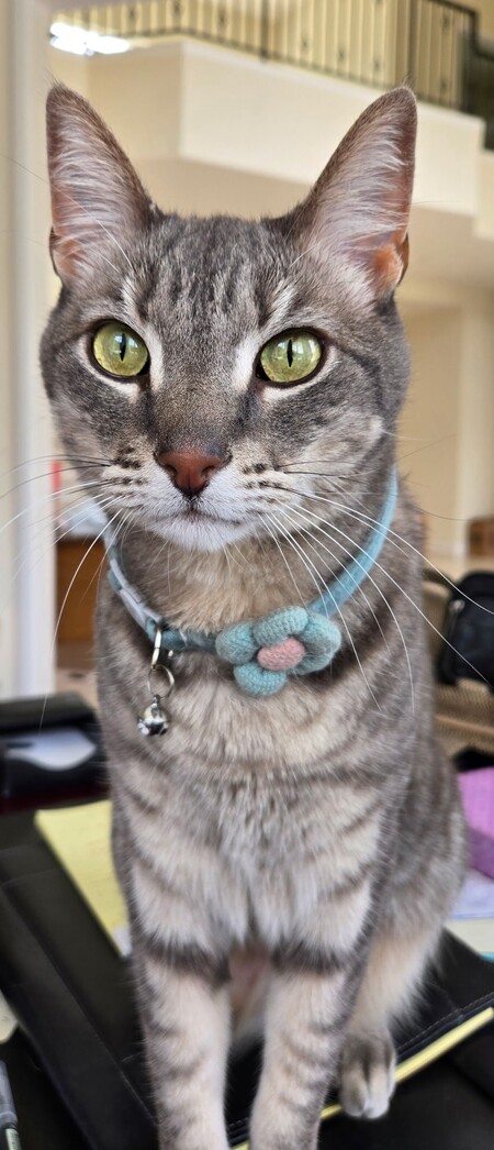 Jasper