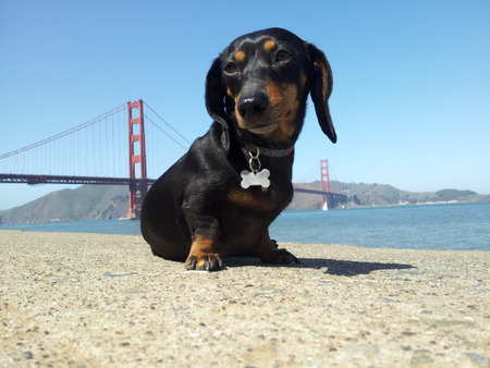 Lulu