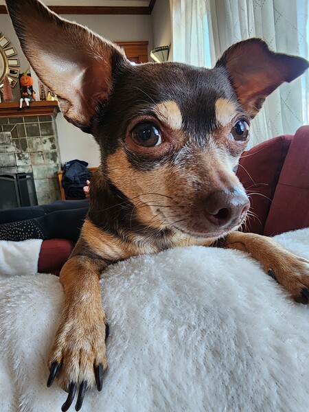 Coco 