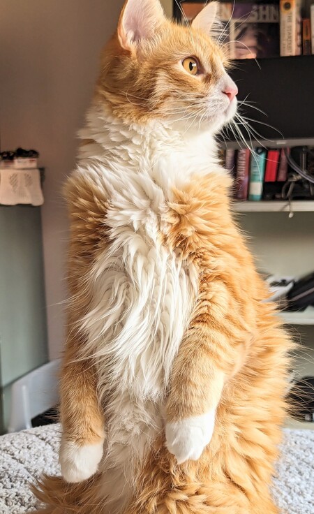 Theodore 