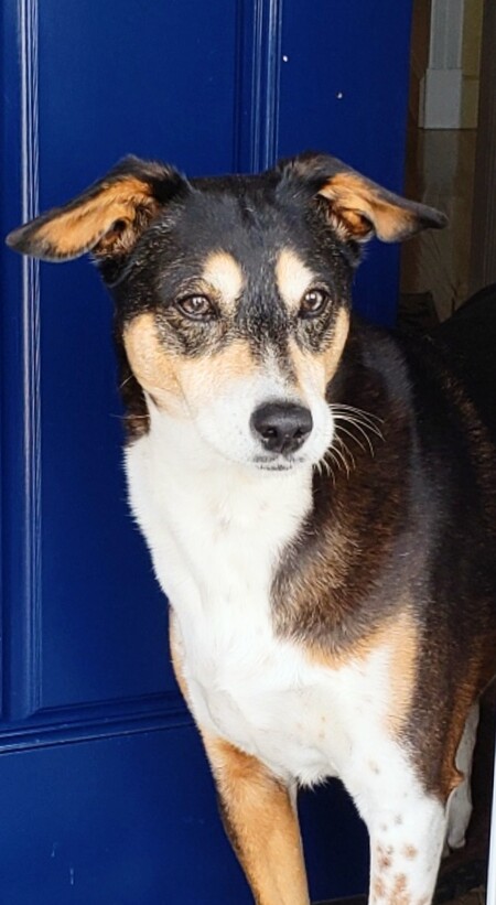 Meeka 