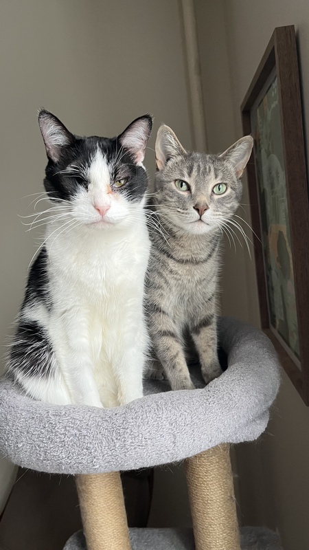 Zowie and Basil