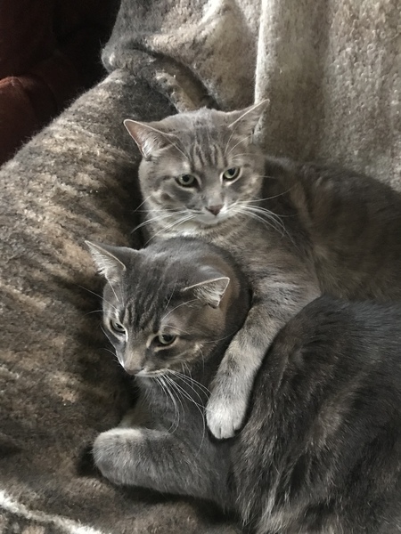Arty & Calvin