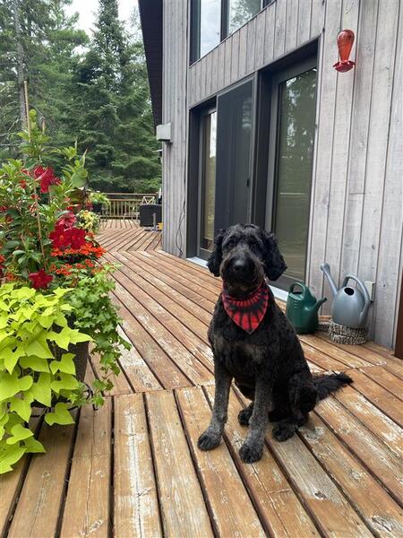 Archie