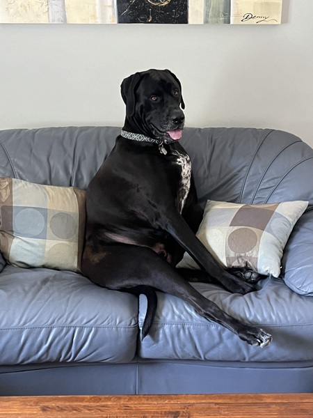 Benson