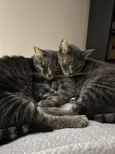 Thomas and Walter