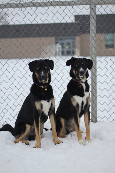 Pluto & Apollo 