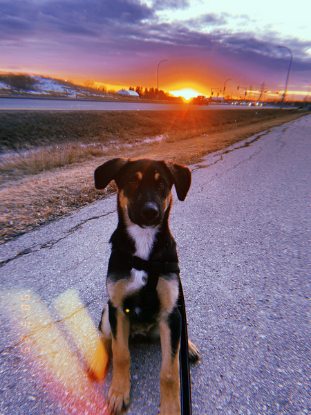 Ellie