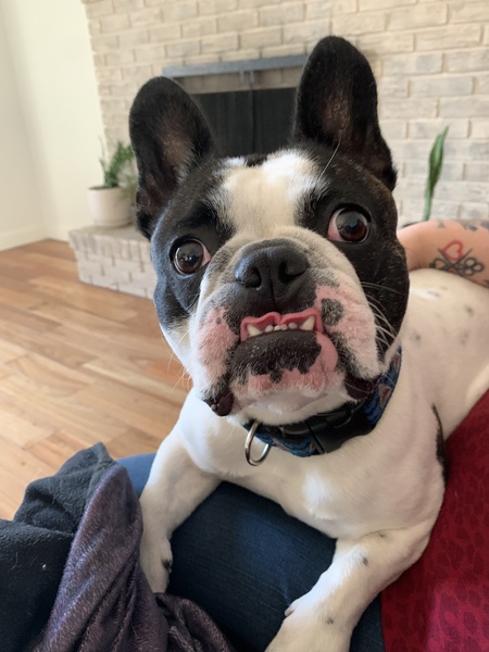 Max