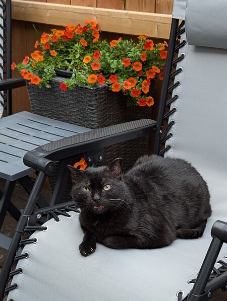 Elliott