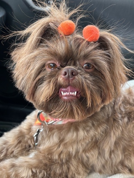 Coco