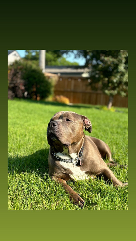 Nelly