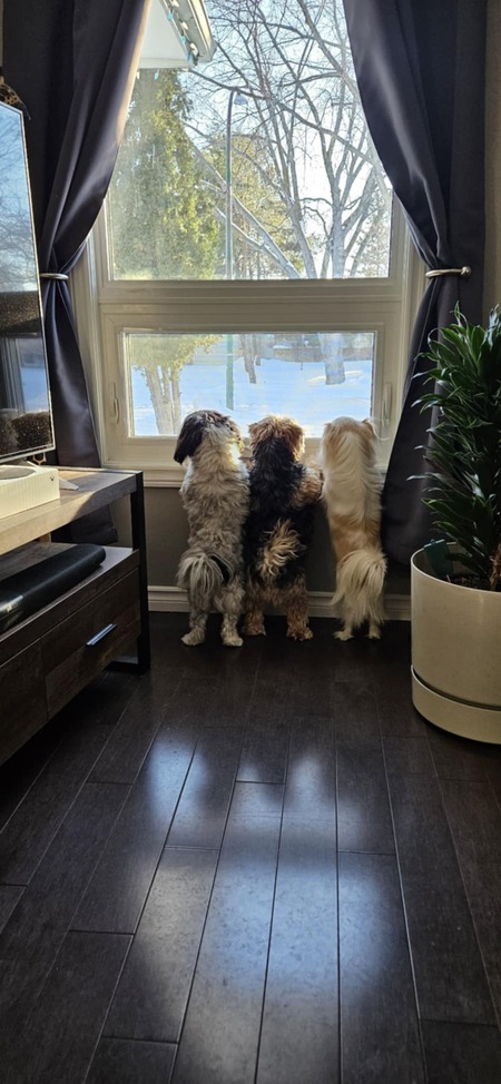 Pepper Larry Bella