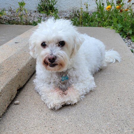 Max