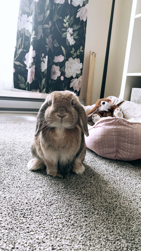 Rosie