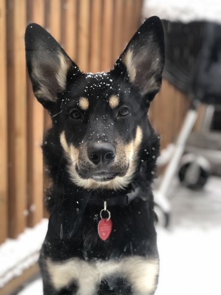 Nori
