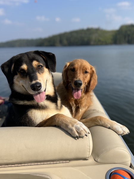 Wylie & Cooper 