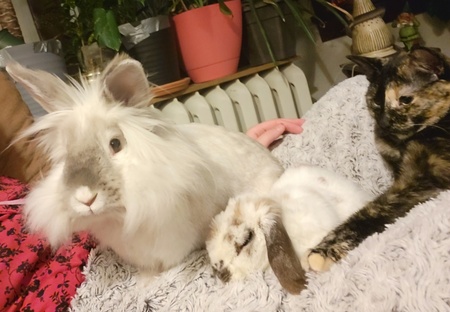 Lucifer, Peaches, Nevi 