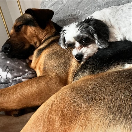 Max and Molly 