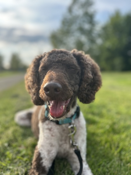 Bentley