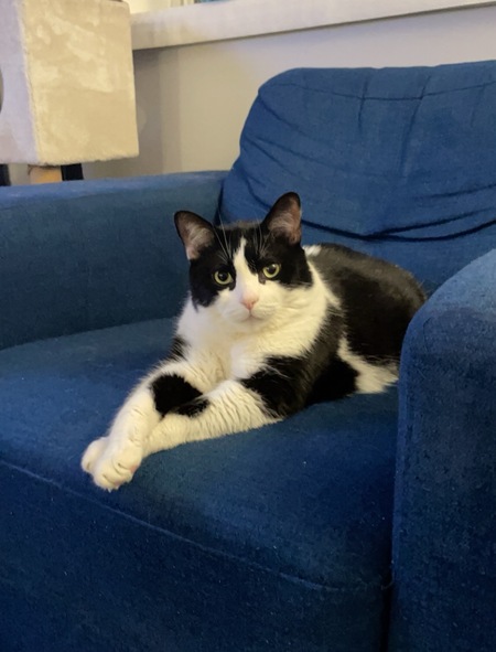 Gus