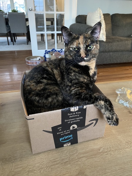 Missy