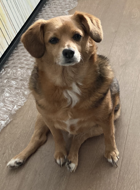 Darwin