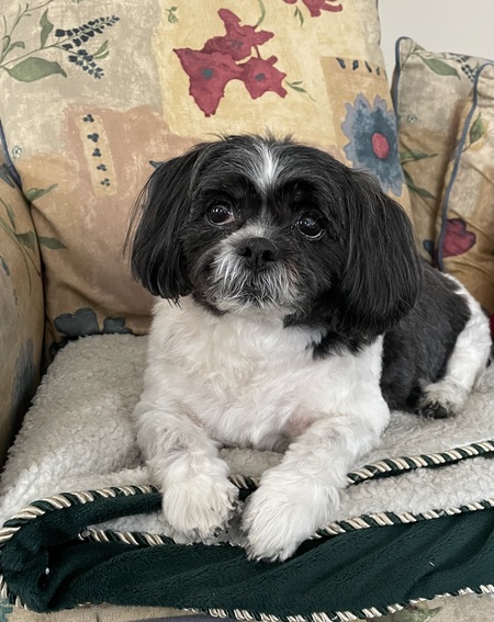 Bella