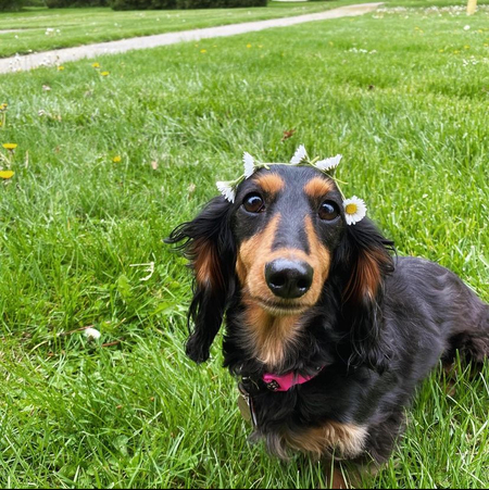 Penny