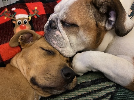 Ruby & Ede