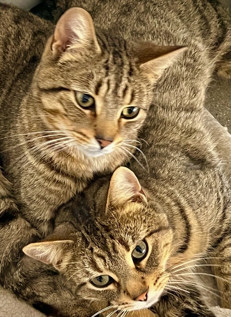 Skittles and Dexter