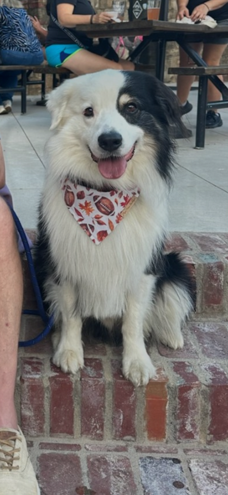 Jax