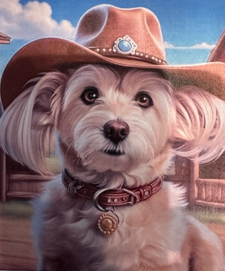 Archie