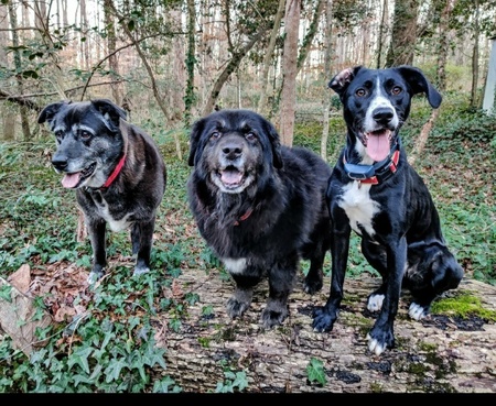 Polly, Lannie and Lolo 