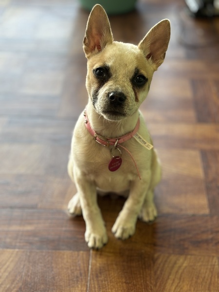 Greta