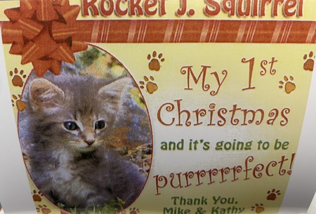 Rocket J. Squirrel