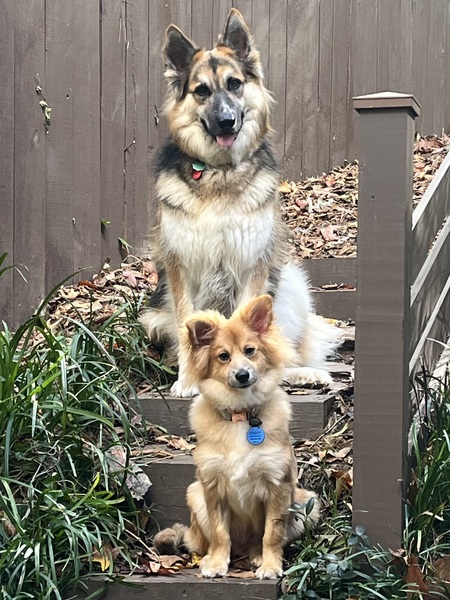 Rosie & Fozzy