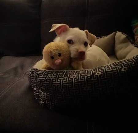 Charlie