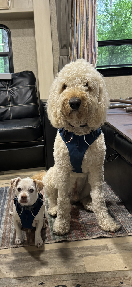 Charlie and Henry